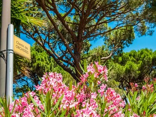 Casa de vacaciones Cogolin  28