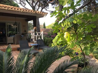 Chalet Cogolin Außenaufnahme 4