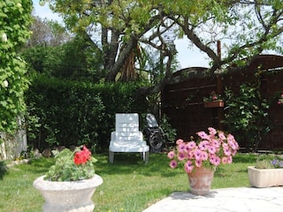 Ferienhaus Bagnols-en-Forêt Außenaufnahme 9