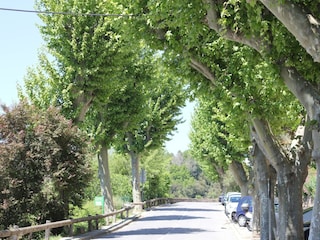 Ferienhaus Bagnols-en-Forêt Umgebung 34