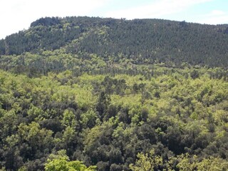 Ferienhaus Bagnols-en-Forêt Umgebung 25