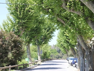 Ferienhaus Bagnols-en-Forêt Umgebung 24