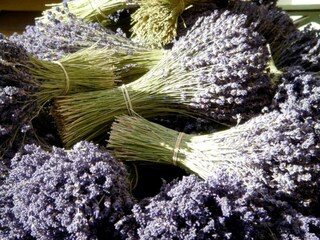 Ferienhaus Bagnols-en-Forêt Umgebung 29