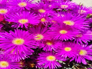 Ferienhaus Bagnols-en-Forêt Umgebung 30