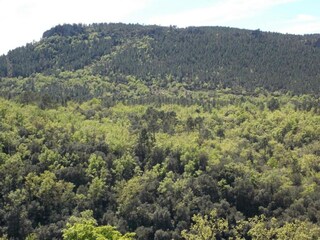 Maison de vacances Bagnols-en-Forêt Environnement 30