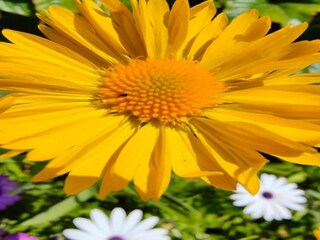 Casa de vacaciones Bagnols-en-Forêt Entorno 31