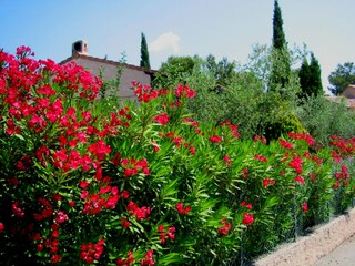 Villa Saint-Raphael  35