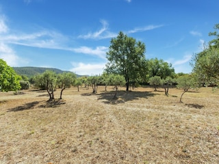 Villa Aups Environnement 39