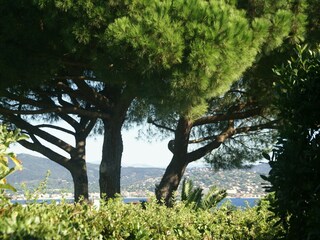 Vakantiehuis Saint-Tropez (Ort) Buitenaudio-opname 10