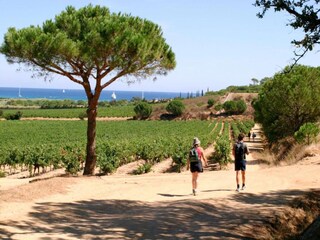 Villa Saint-Tropez (Ort) Umgebung 38