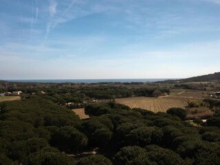 Villa Saint-Tropez (Ort) Environment 35