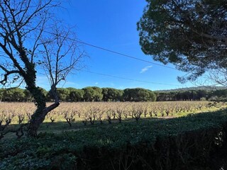 Villa Saint-Tropez (Ort) Environment 40