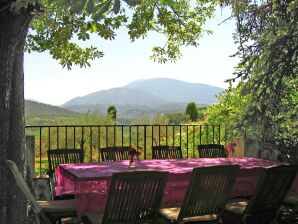 Casolare Stupenda casa di campagna con piscina privata a Vaison-la-Romaine - Vaison la Romaine - image1