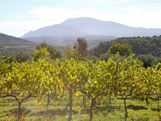 Casa de campo Vaison-la-Romaine Grabación al aire libre 8