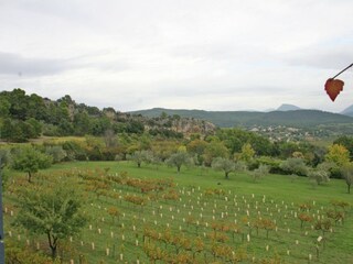 Landhaus Vaison-la-Romaine Außenaufnahme 8
