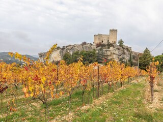Ferienhaus Vaison-la-Romaine Umgebung 34