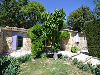 Ferienhaus Vaison-la-Romaine Außenaufnahme 1