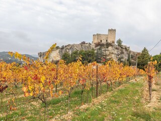 Ferienhaus Vaison-la-Romaine Umgebung 33