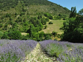 Villa Carpentras Environnement 32