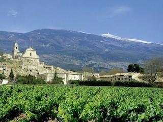 Villa Carpentras Ambiente 29