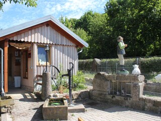 Hühnerstall und Hasenauslauf