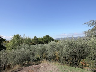 Ferienhaus Roussillon (Vaucluse) Außenaufnahme 6