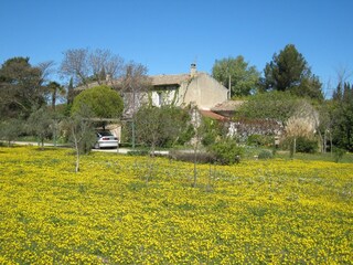 Ferienhaus Cavaillon Außenaufnahme 14