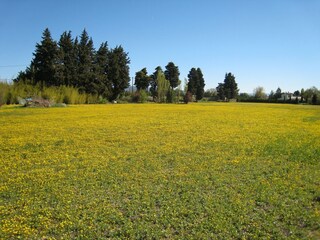 Vakantiehuis Cavaillon Omgeving 33