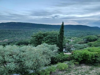 Ferienhaus Cavaillon Umgebung 34