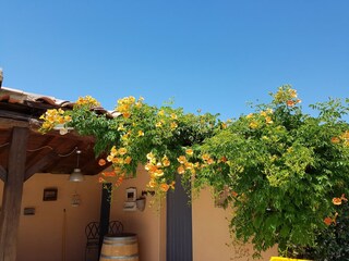 Villa Saint-Pierre-de-Vassols  39