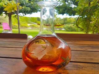 Villa Saint-Pierre-de-Vassols  40