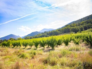 Villa Malaucène Environnement 36
