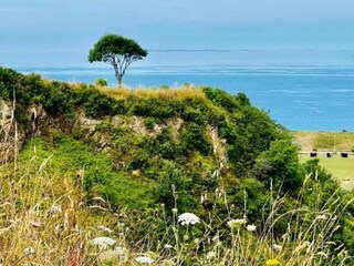 Villa Malaucène Ambiente 28