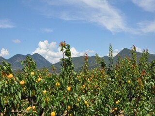 Villa Malaucène Umgebung 25