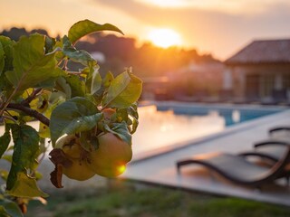 Villa Apt Enregistrement extérieur 17