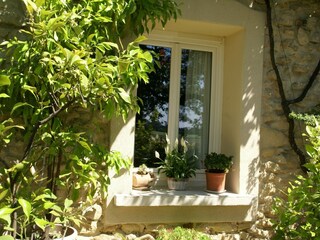 Ferienhaus Piolenc  33