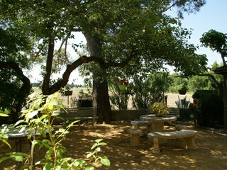 Casa de vacaciones Piolenc Grabación al aire libre 11