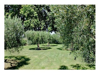 Vakantiehuis Lacoste Omgeving 35