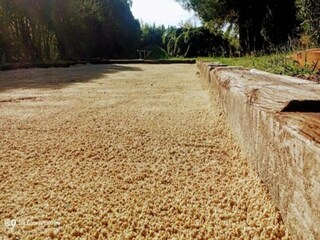 Ferienhaus Lacoste Umgebung 37