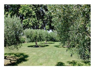 Casa per le vacanze Lacoste Ambiente 30