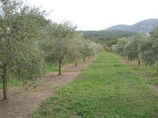 Vakantiehuisje Ménerbes Omgeving 29