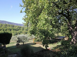 Cottage Ménerbes Außenaufnahme 8