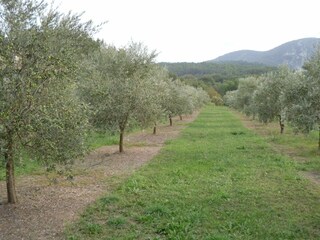 Vakantiehuisje Ménerbes Omgeving 26