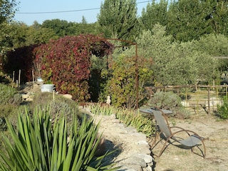 Holiday cottage Oppède Outdoor Recording 2