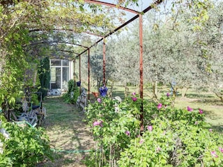 Maison de vacances Oppède Enregistrement extérieur 6