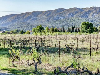 Casa de vacaciones Oppède Entorno 27