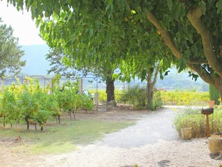 Holiday cottage Oppède Outdoor Recording 6