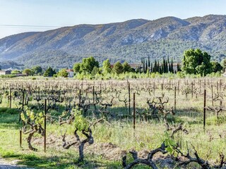 Vakantiehuisje Oppède Omgeving 29