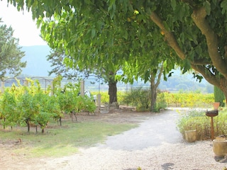 Cottage Oppède Außenaufnahme 14