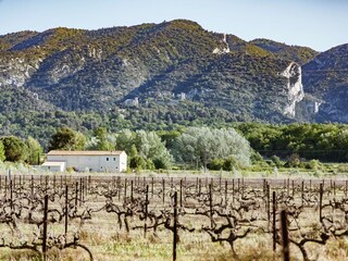 Holiday cottage Oppède Outdoor Recording 8